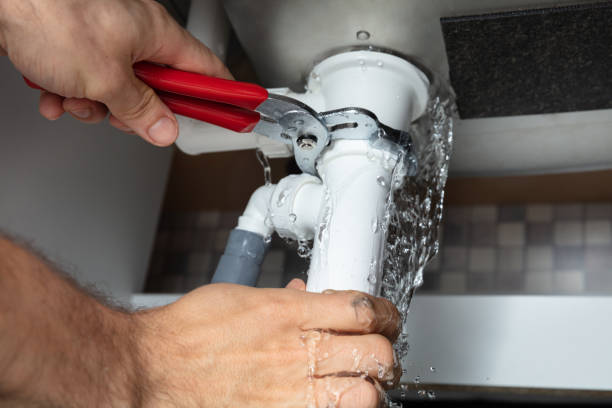 Best Flooded house restoration  in Cherryvale, SC