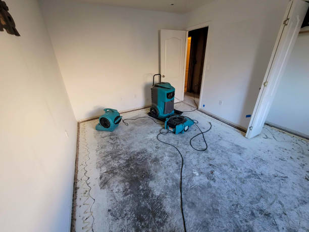 Best Water damage restoration near me  in Cherryvale, SC