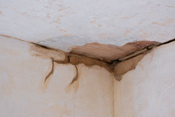 Best Sewage cleanup and water damage restoration  in Cherryvale, SC