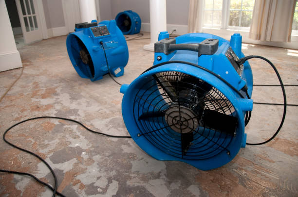 Best Emergency water damage restoration  in Cherryvale, SC