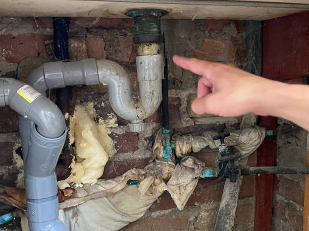 Best Professional water damage repair  in Cherryvale, SC